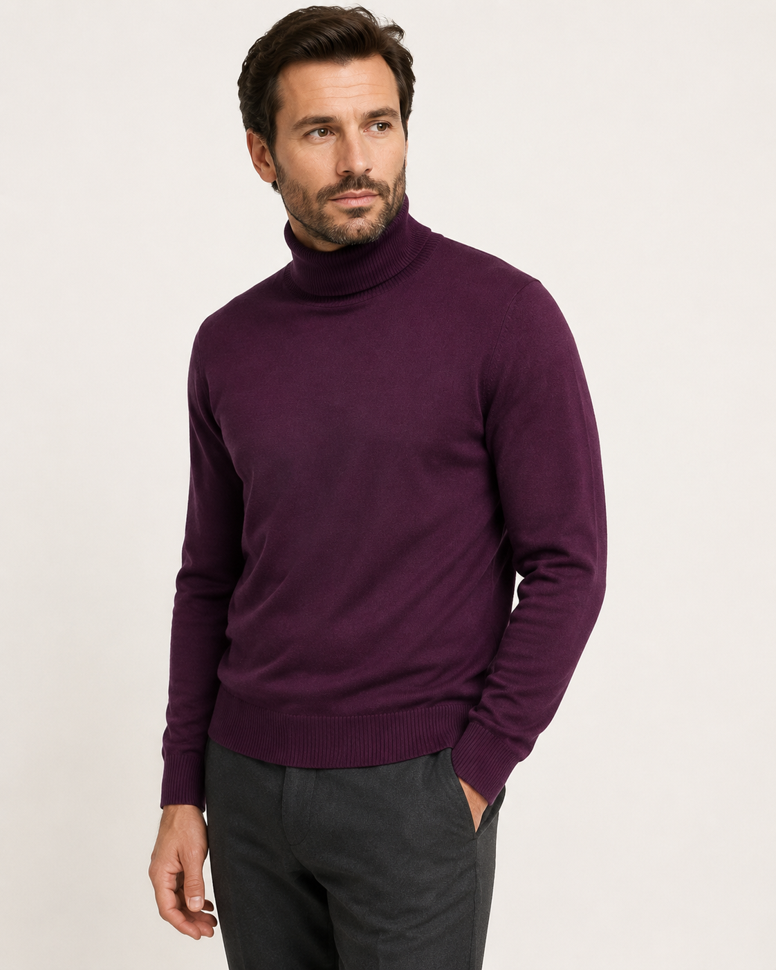 Pull homme col roulé en laine