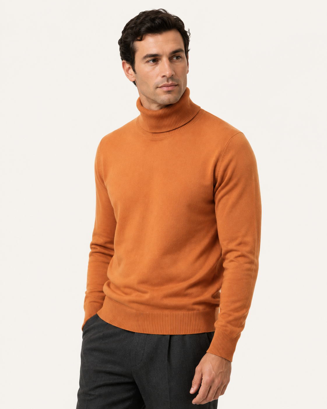 Pull homme col roulé en laine